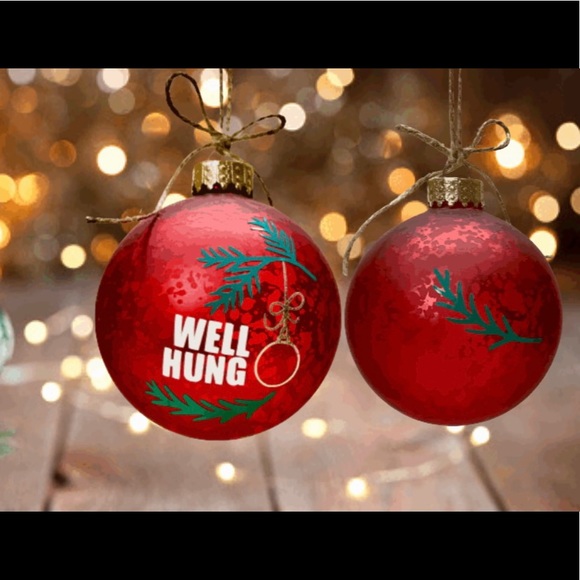 WELL HUNG- HANDMADE CHRISTMAS GLASS RED ORNAMENT - Picture 8 of 16